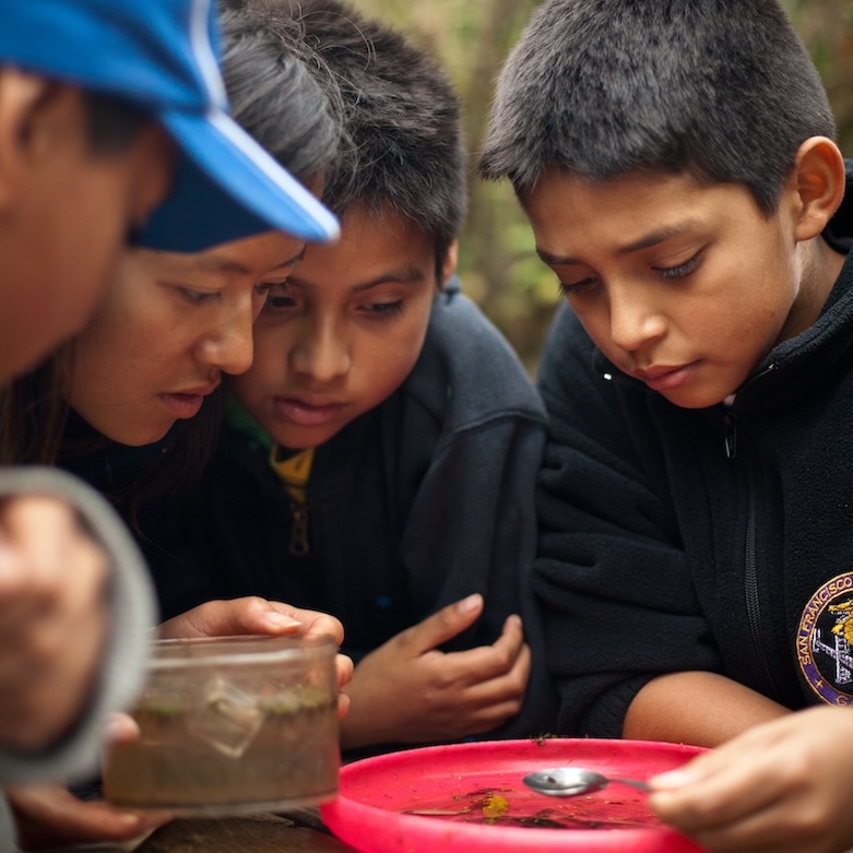 Marshall Elementary students Ricardo Rodriguez (age 10), Robert Martinez (age 10), and Gabriel Arauz (age 10) look at invertebrates from Rodeo Pond with NatureBridge educator PaHoua Lee (second from left) as part of a NatureBridge program in Golden IMG_2219